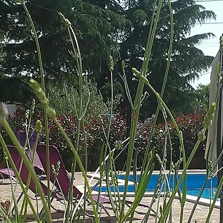 Nina With Private Pool Near 펜션 *